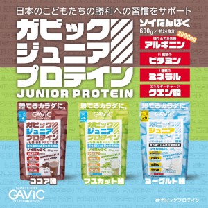 ガビック GAViC ジュニア プロテイン 12.5g (1食分) 子供用 プロテイン 23SS(GC4001)