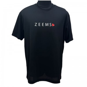 ジームス Zeems 2024年限定ドライTシャツ 野球 トレーニングウェア Tシャツ 24SS (ZW24-02B)